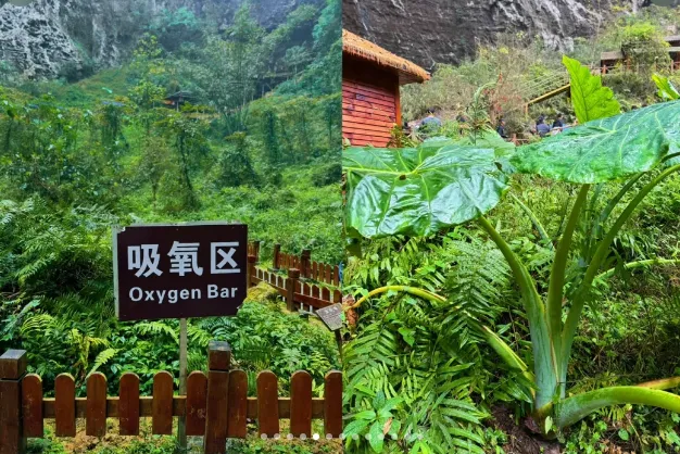 ac26be9b0f082cd0356132fe6ff2fc08-sz_729753