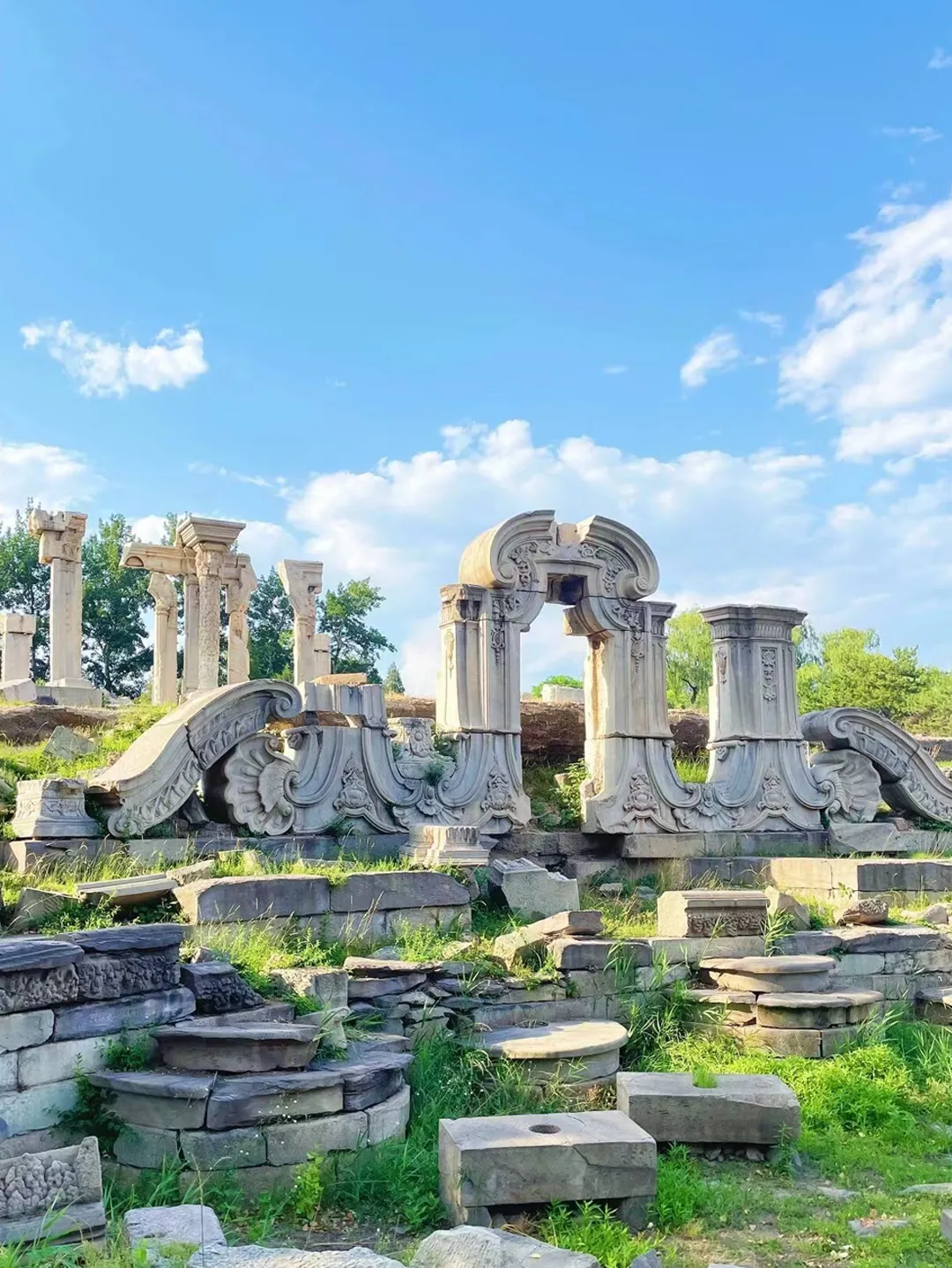 ac79a0ff21a43aa82384f303687dda8d-sz_995729