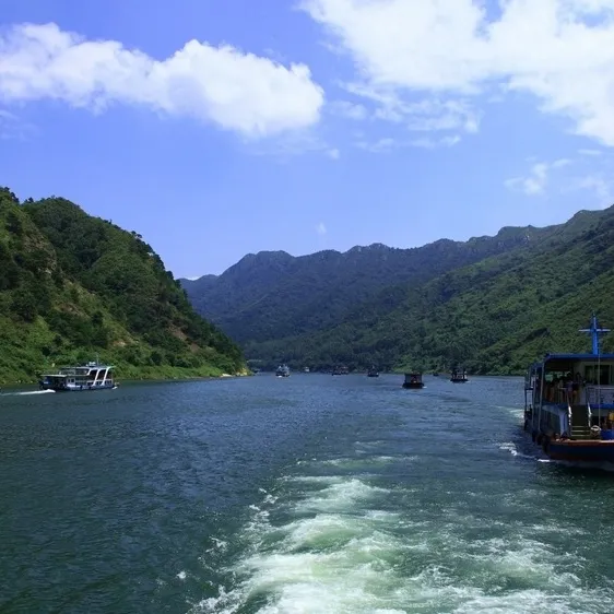 acc231ed9f051e102a229802926d2685-sz_173713-1