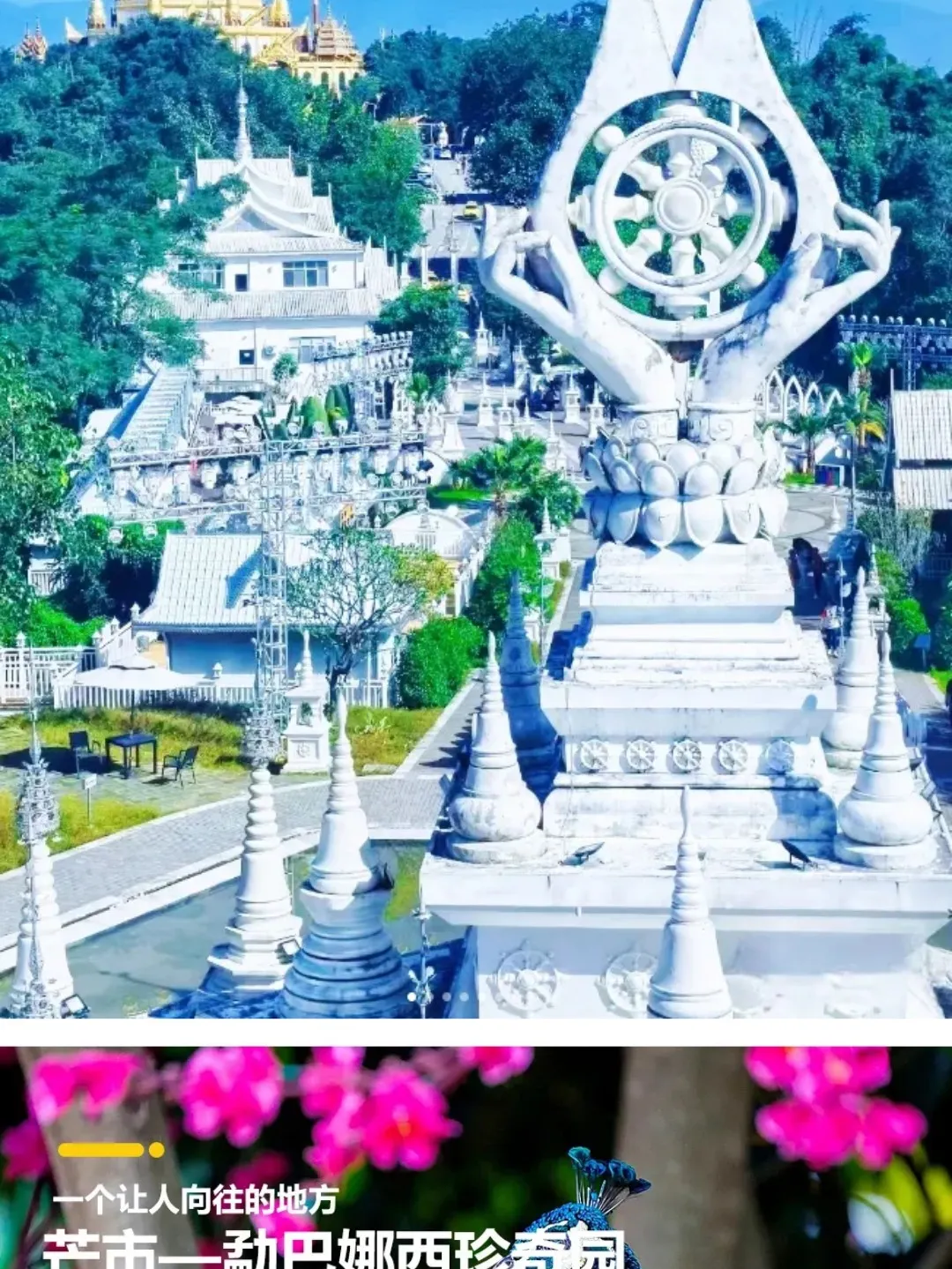 ad0230264049629c6faa71c43da25120-sz_431208