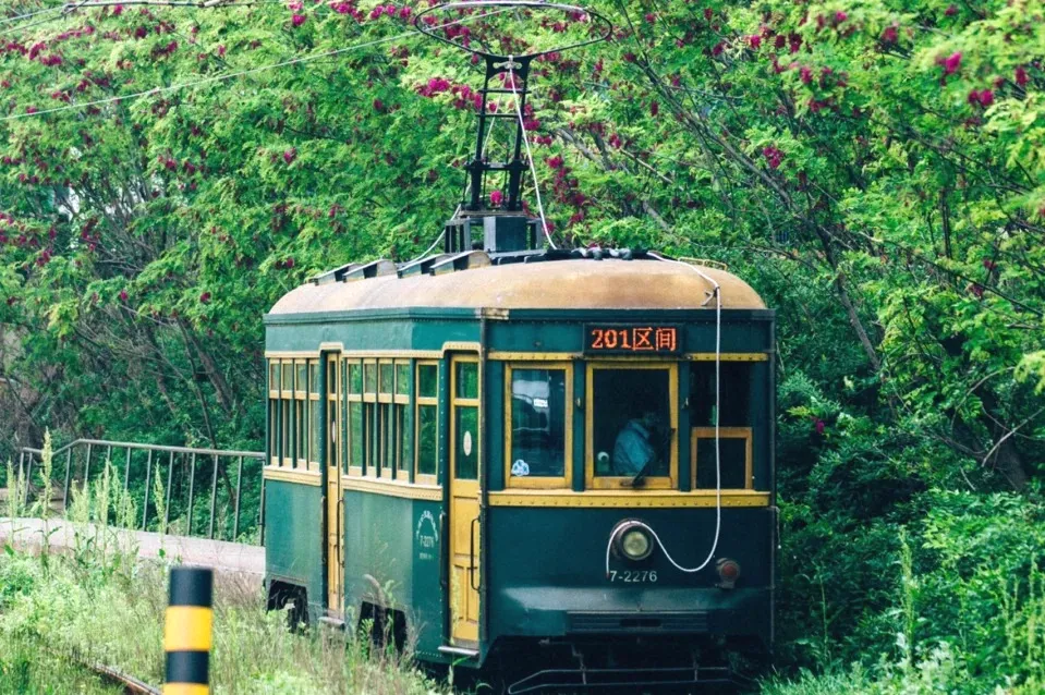 adf01c136af9a7bd295b2890b80fec02-sz_713467-1