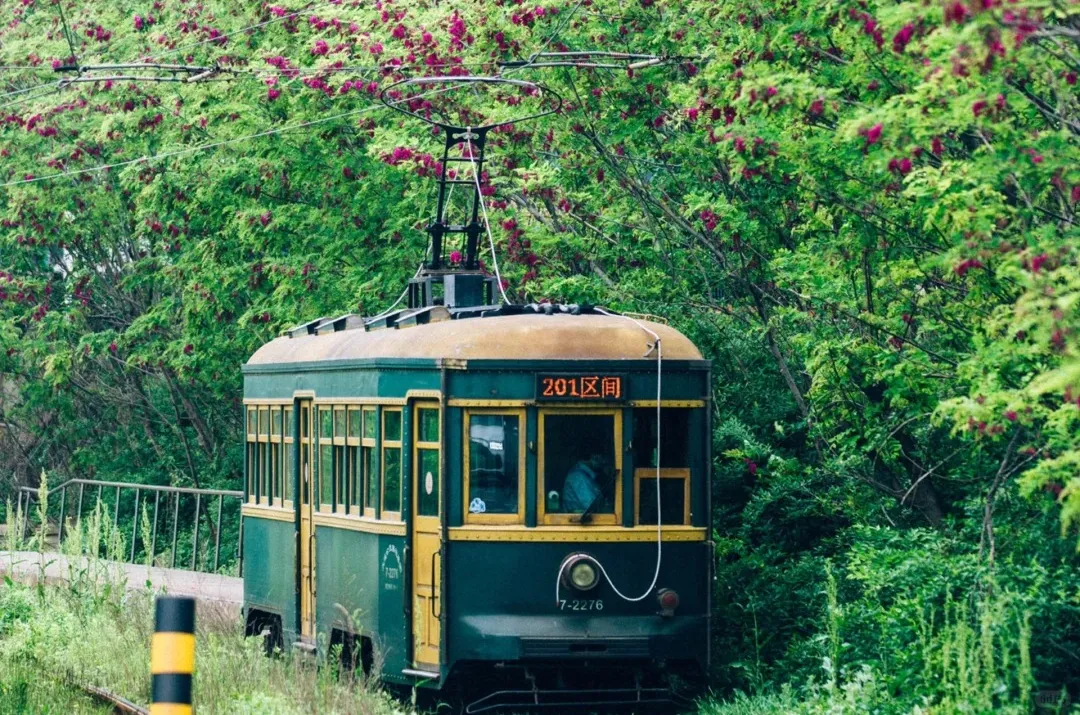 adf01c136af9a7bd295b2890b80fec02-sz_713467