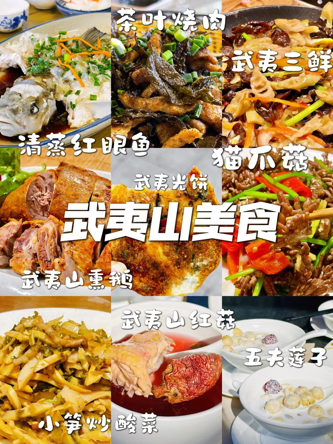 ae9a66d003de56584c4575c070241a8b-sz_1217069