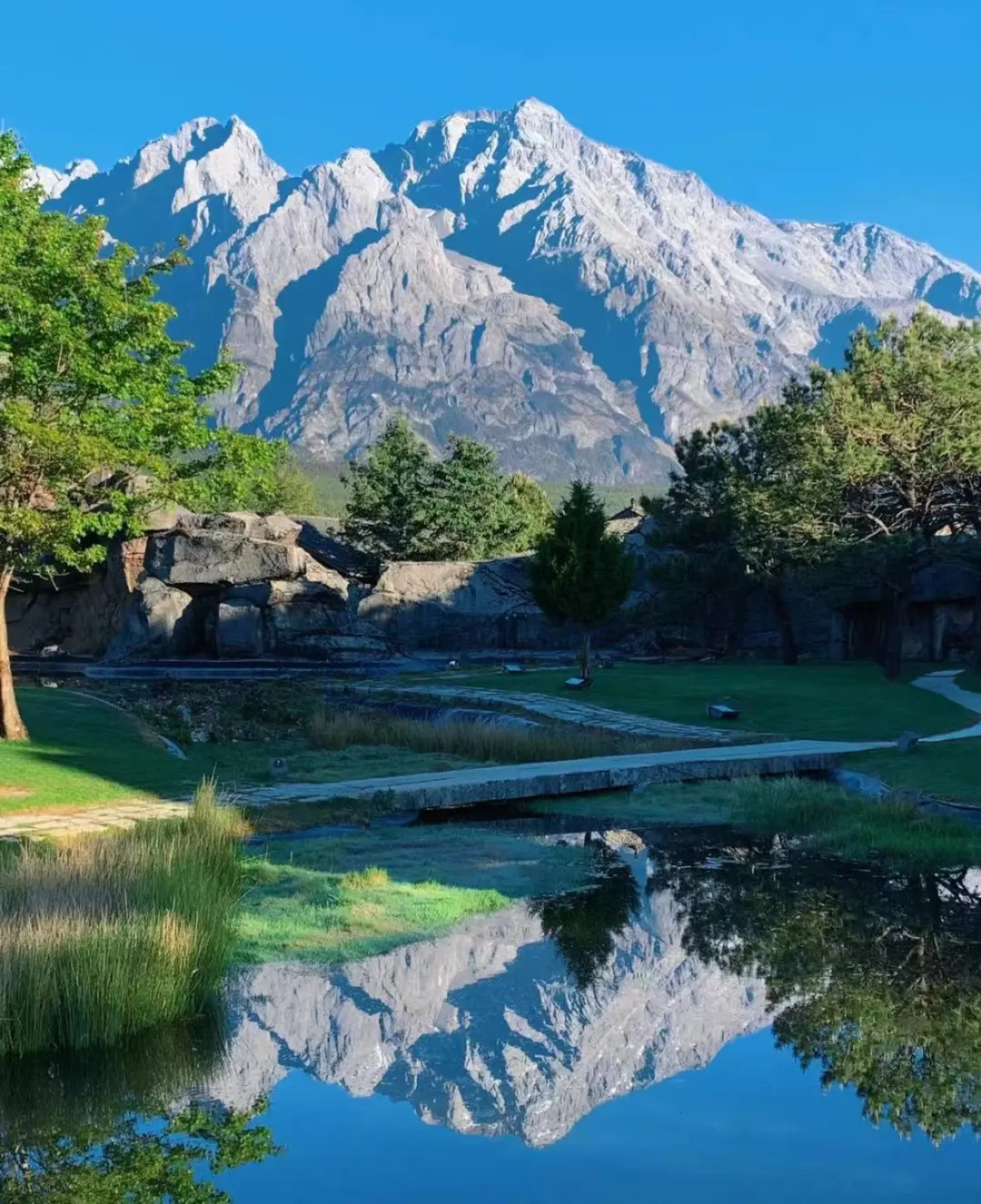 aecb2cf9496995bdb13e58204bcffac9-sz_299634