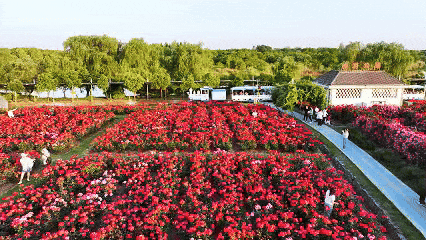 aed8e4c24233d29177a12a5eefcf101b-sz_2872491