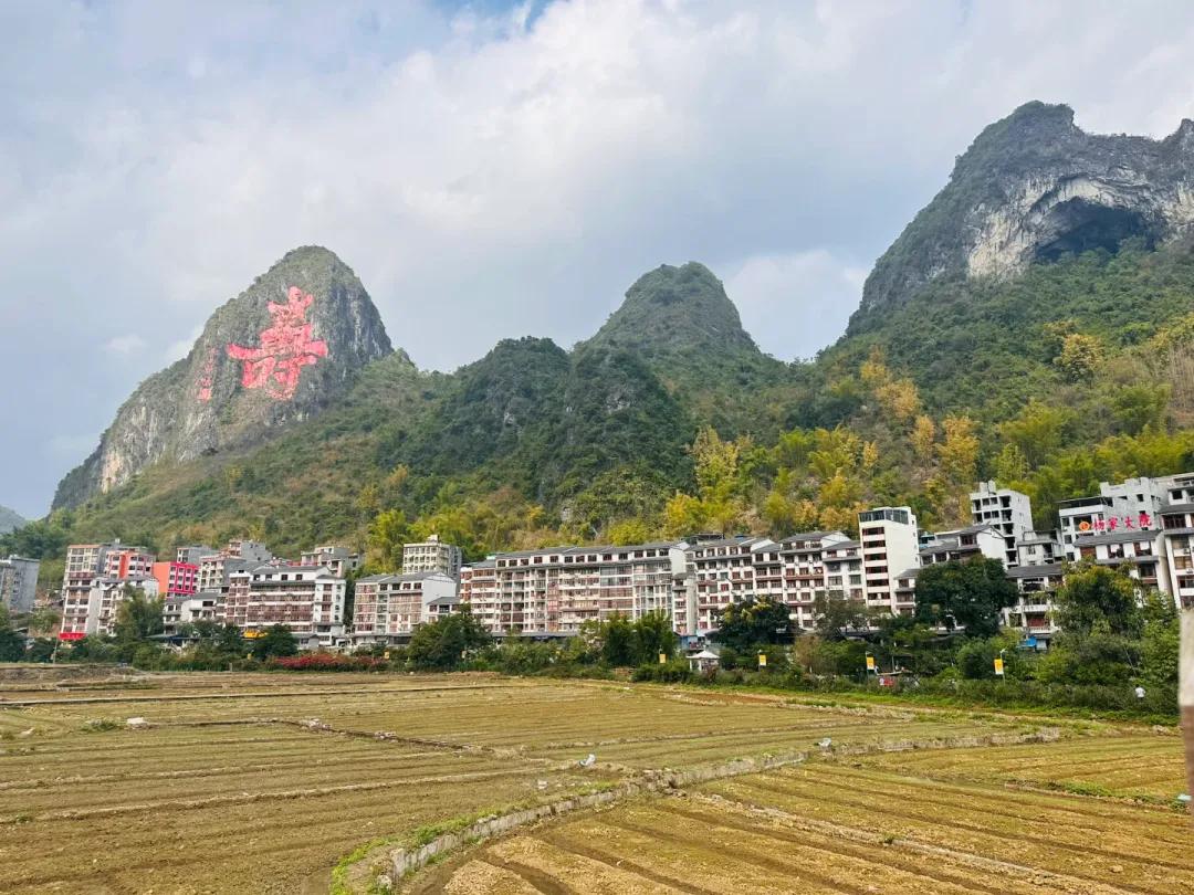 afd0bbef99a639c9c6d2173e71cba352-sz_3110120