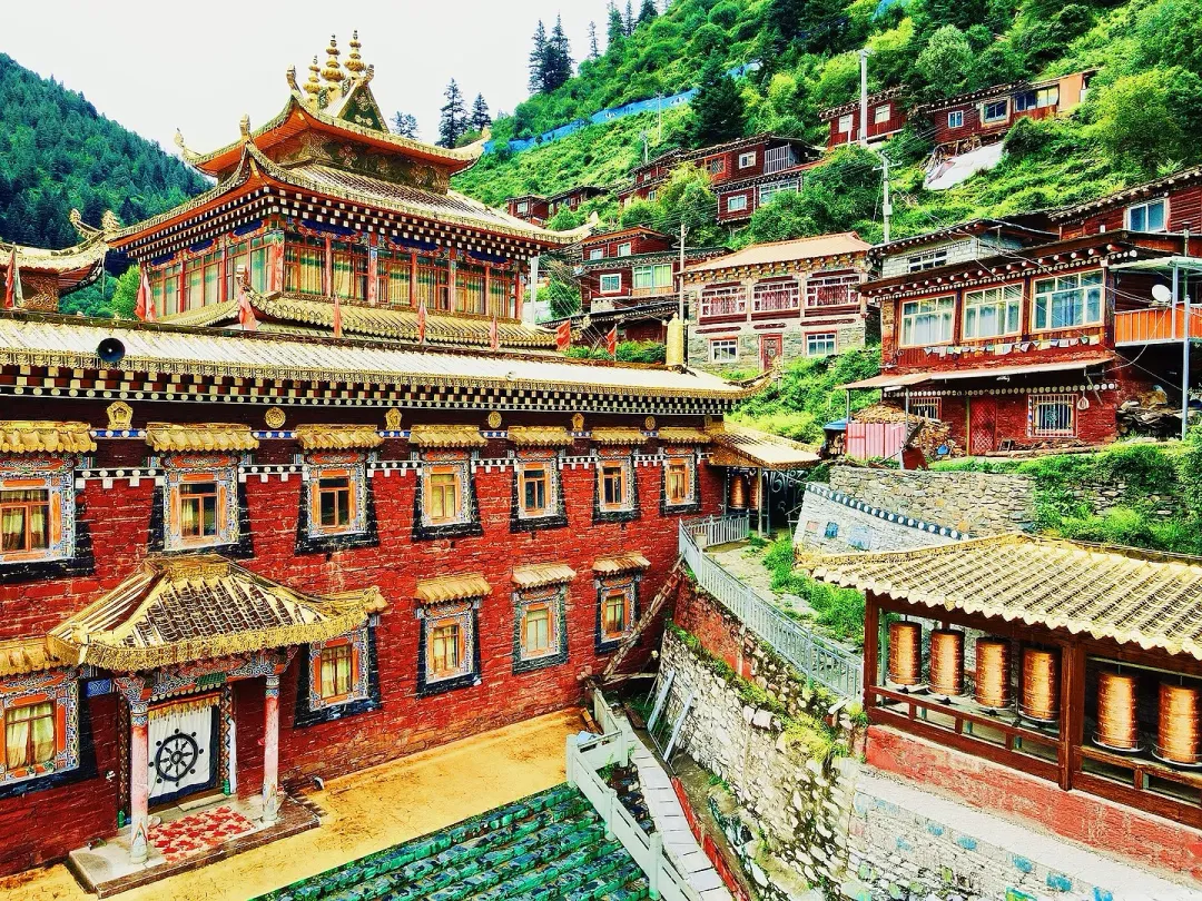 b08ab1cea4ec7063dc0108d881170b7d-sz_3643488