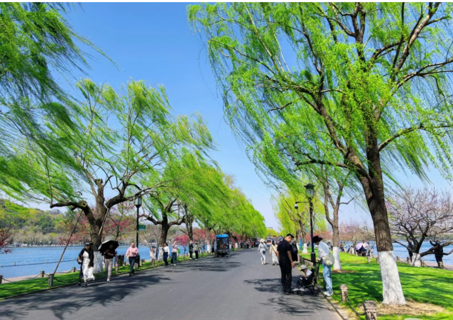 b181fc7015d6254514c7142a7dd050a7