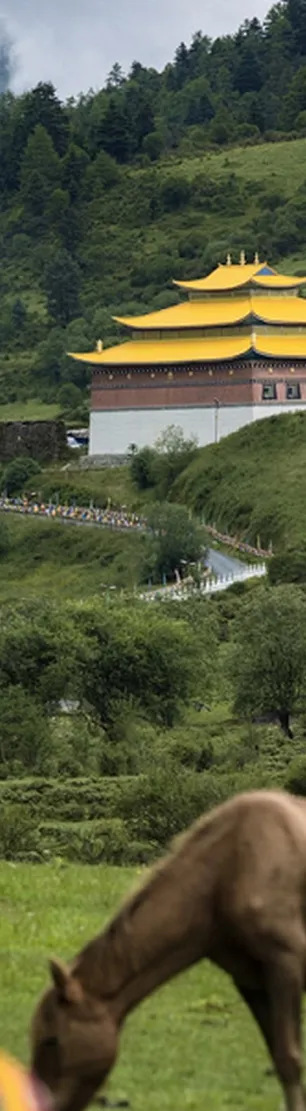 b1d329e55928de983f76653ed54ce4cd-sz_1319082