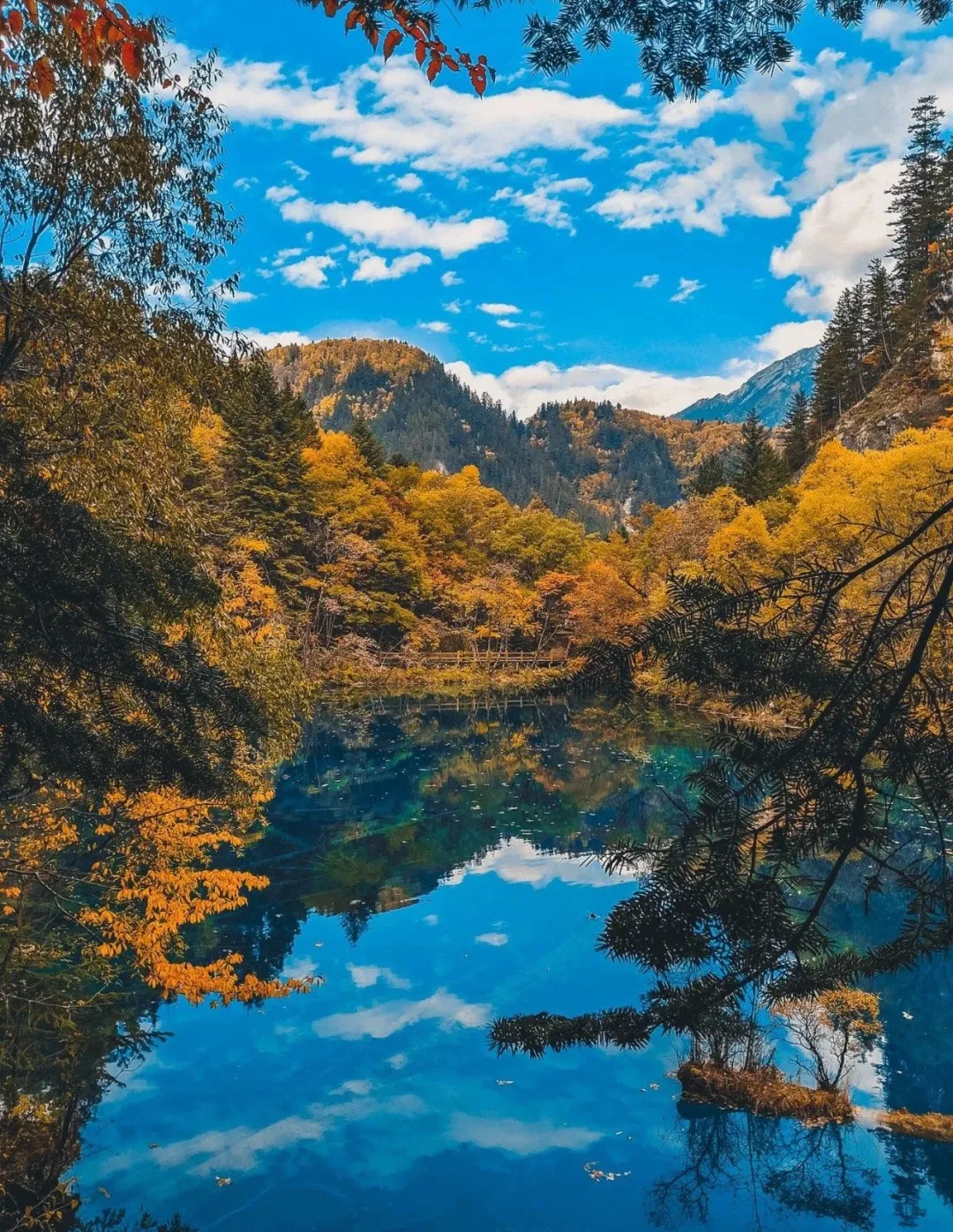 b4b1453c3538c49c1b85512745af6ed6-sz_631474