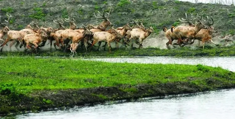 b564d1fac3de05074a37a4e3dd940e05-sz_101246