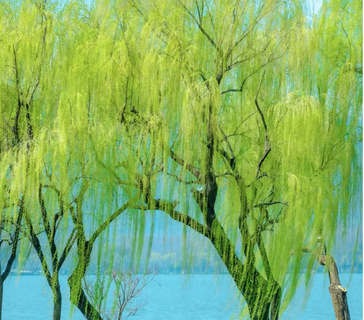 b577231bc1cd4c30ef4cc6d499beb7a4