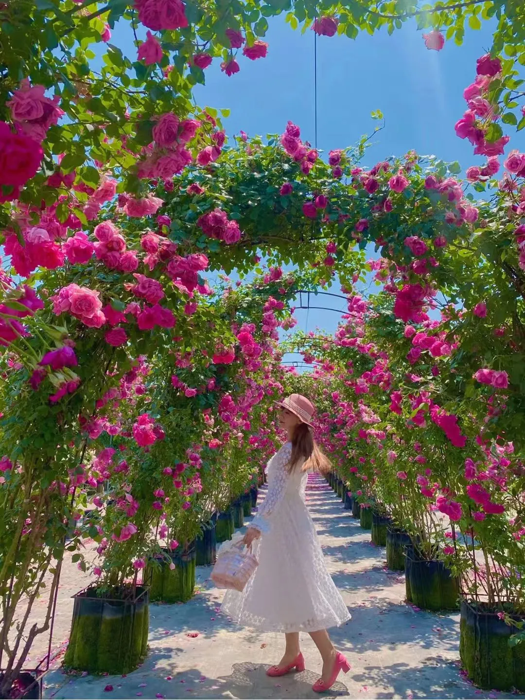 b5c6c34b048ab62a26da14e5f74a95ee-sz_4036618