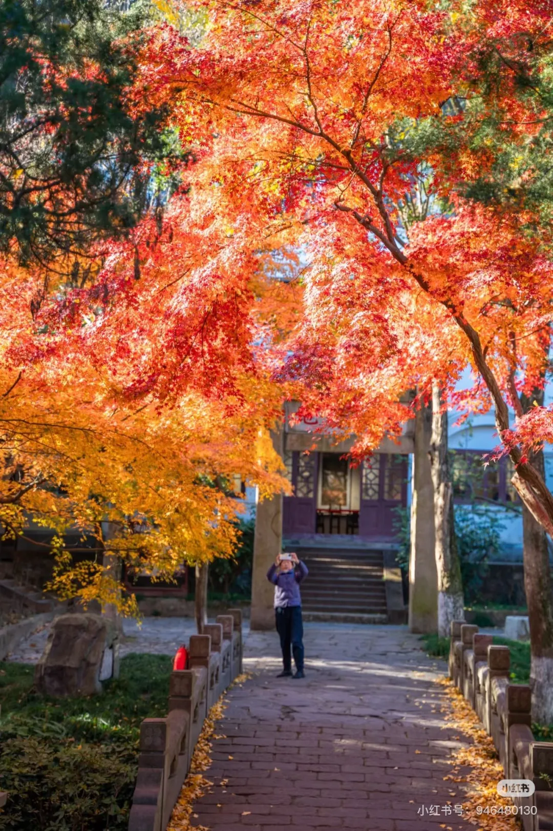 b5fd8ac8526f0954b957d4c7a2fc7b2e-sz_776276