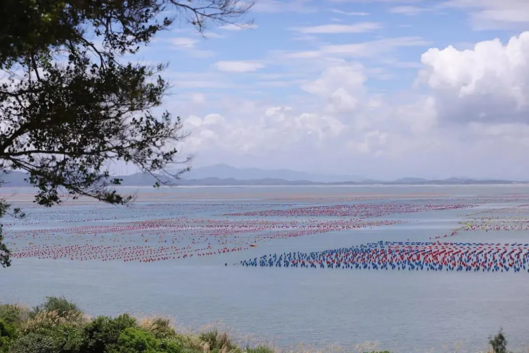 b64b9a1d6086a668a398723a8174b847-sz_119175