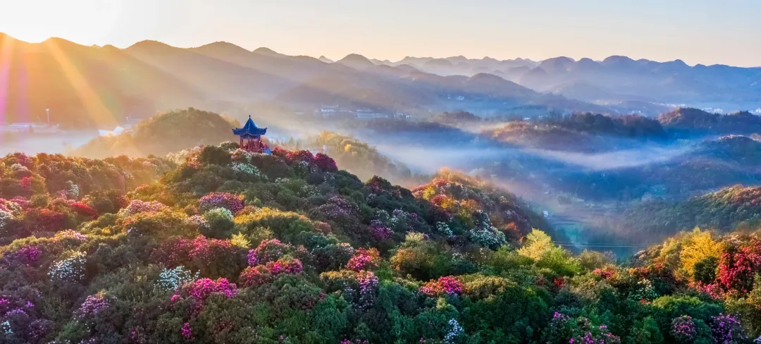 b6a3071e562c6cff6619620f18756d13-sz_3790043-1