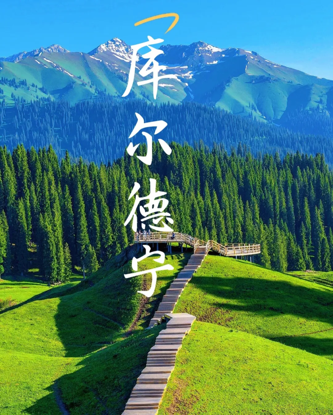 b754eb6ad24e0e73e60a7e5340bc98fd-sz_1159740