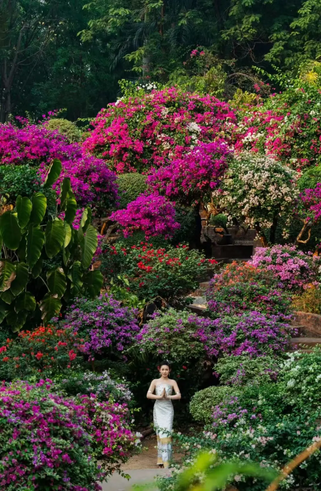 b7770c6e31b2e2fdf7119c062562adc0-sz_466125