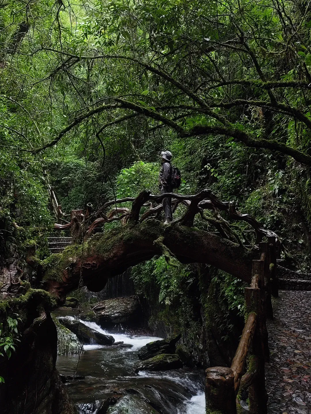 b8957a56080de925989b652428198e99-sz_3497543