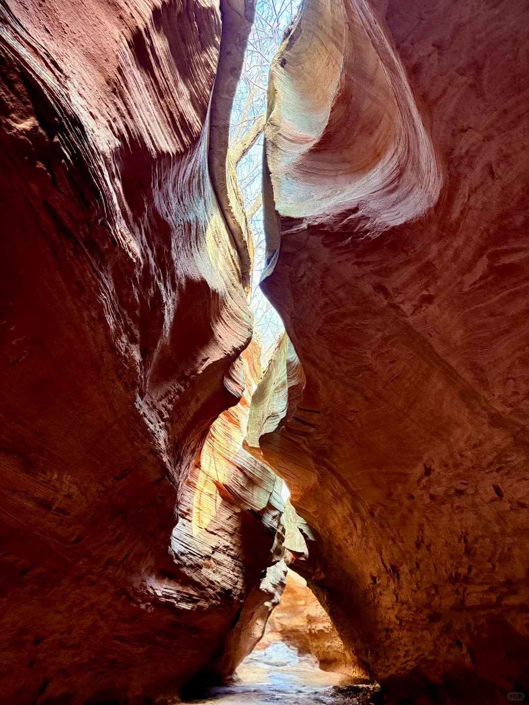 b8a84be33f2ac8a39c20172c96839f20-sz_2998096