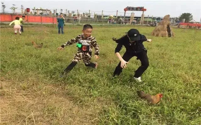 ba1d6087646a22445945e429aa0decb2-sz_212187-1