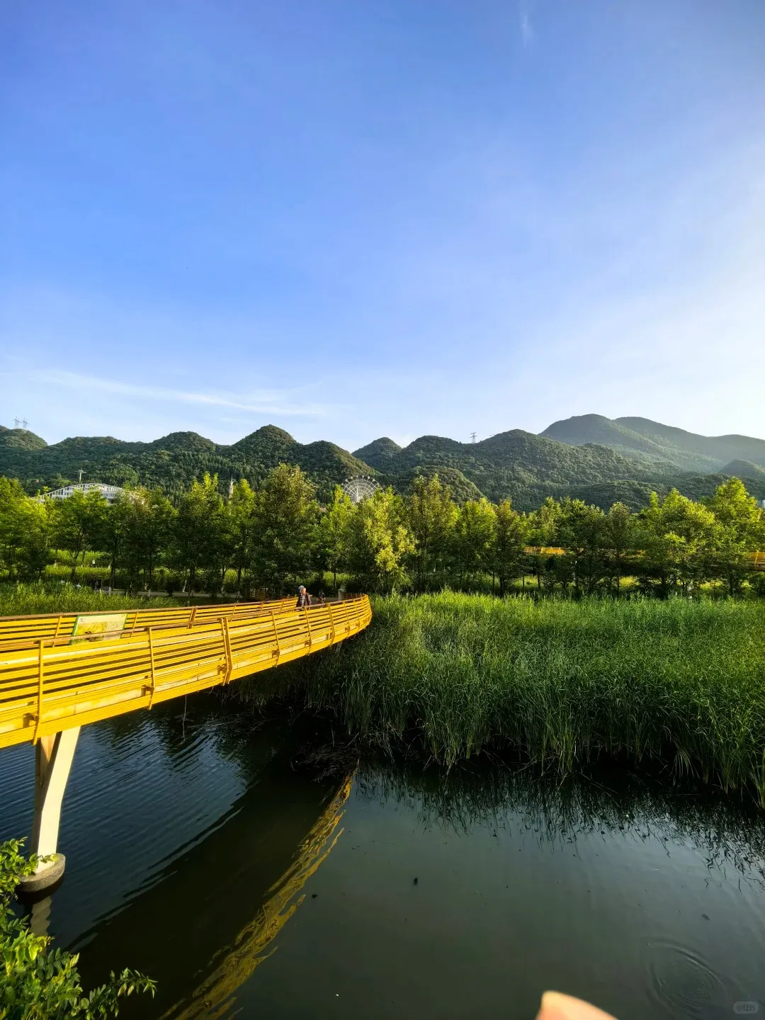 ba5d9398934b3c1e56a0c6f769529194-sz_374091-1