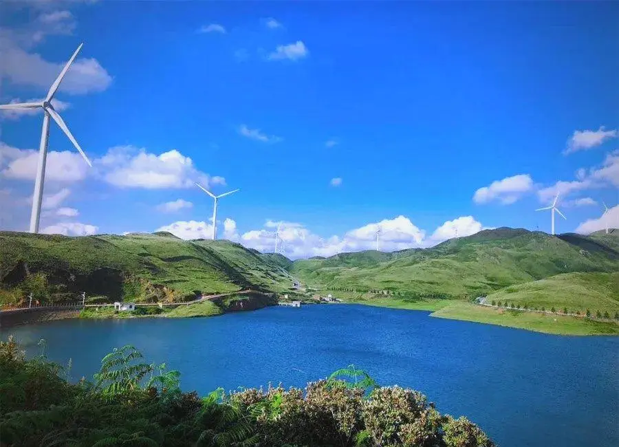 ba83dbfc42ee93b408445e1e2a4bab1e-sz_85572