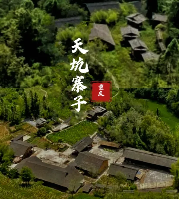 bae01ce797ea283d52f1fd4554a48613-sz_762202