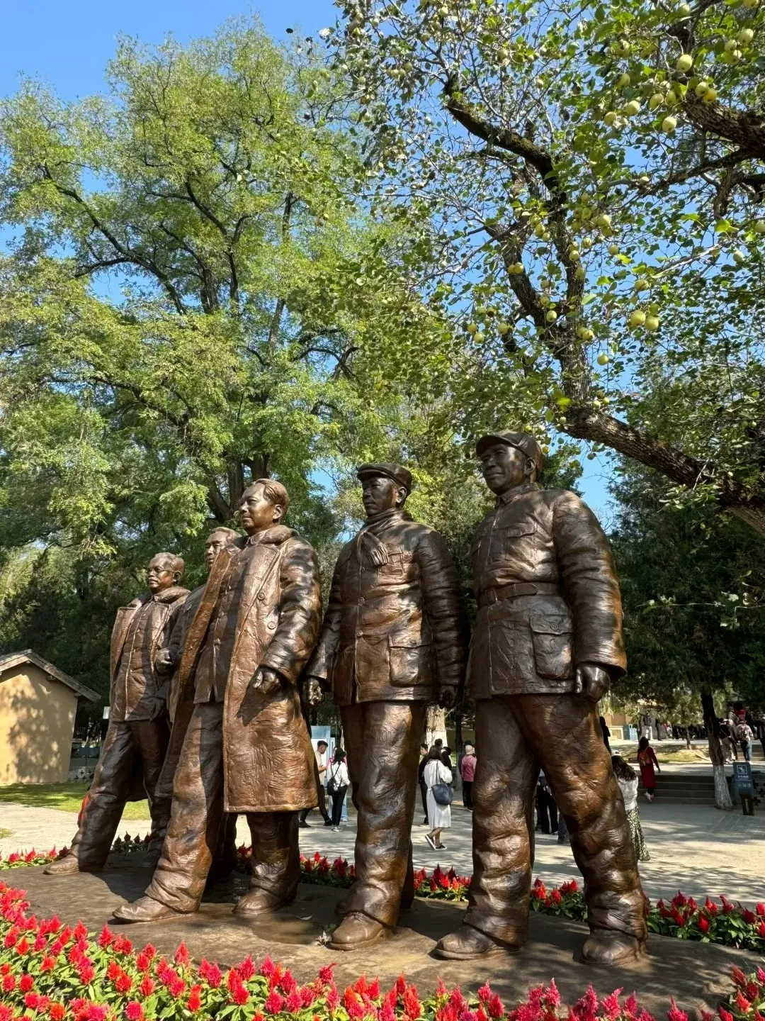 bb68103ff1b8126929e4449911993fee-sz_789836