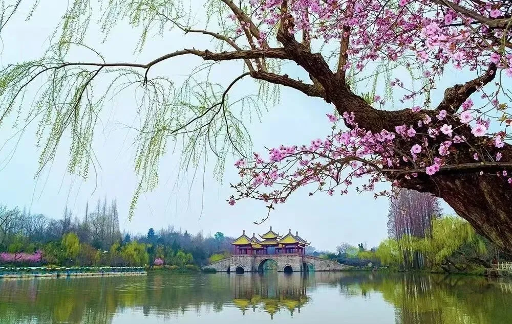 bbd5e364a860cf6fd2dc89c95cc8161e-sz_198431