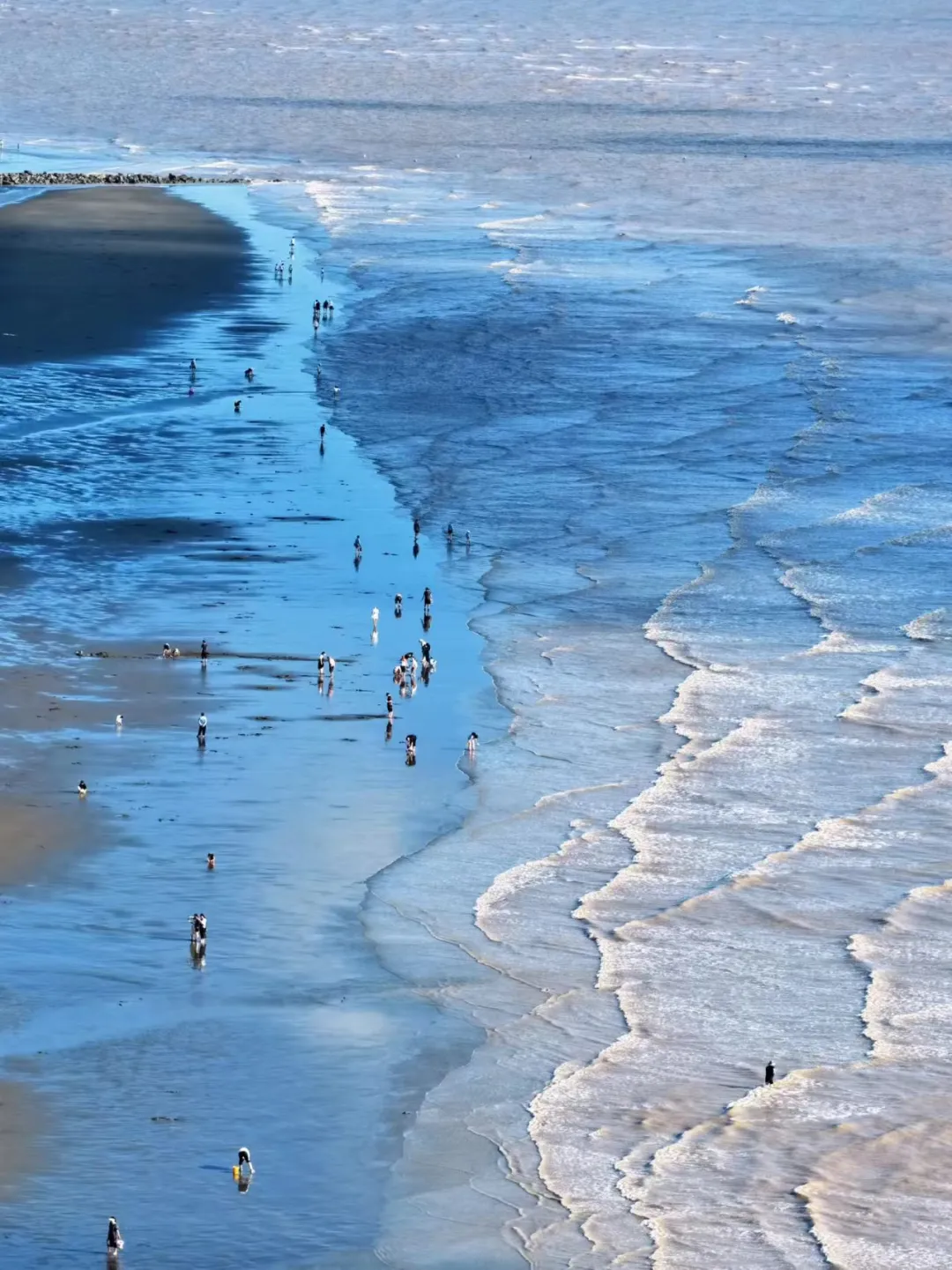 bc6b08e529f12ee8a46d1f8df1c81c7b-sz_4481127