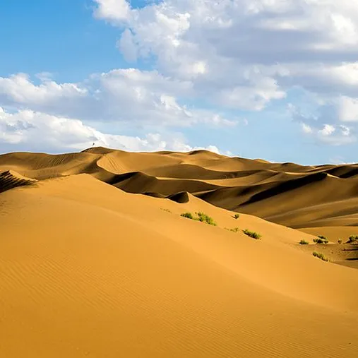 bd79811d101b4dd9229a08374e62c1e2-sz_66366