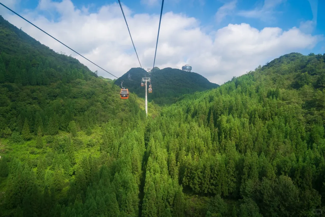 be02c82c073e6a33b0c1c219fd3736db-sz_2886385