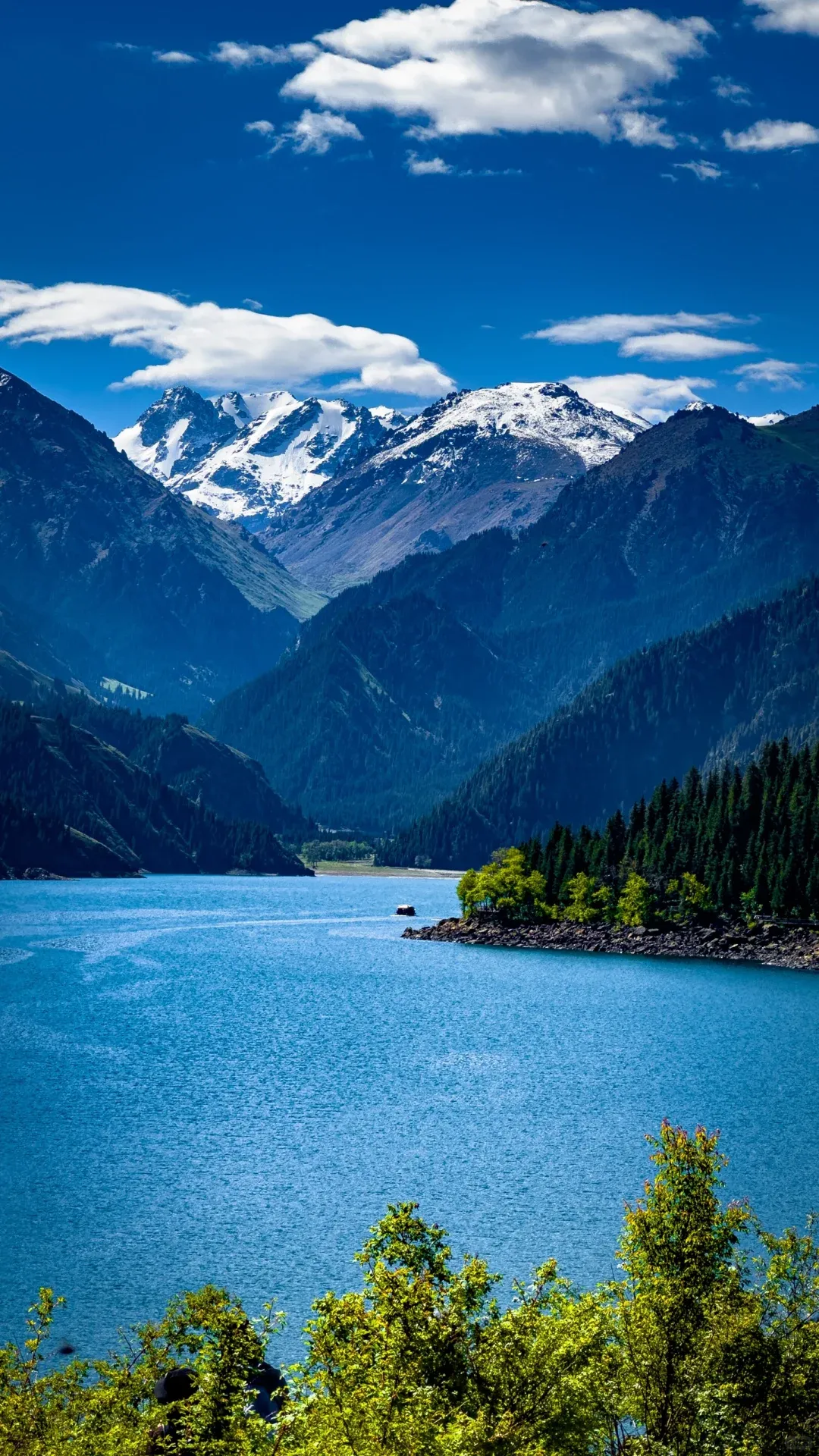 be68fc8e644f49ba22401d75bc5d7cdc-sz_3444771