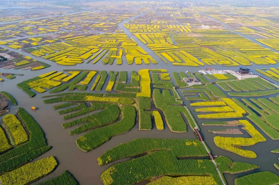 bea9daaf36f6661603d88a7135200e61-sz_198000-1