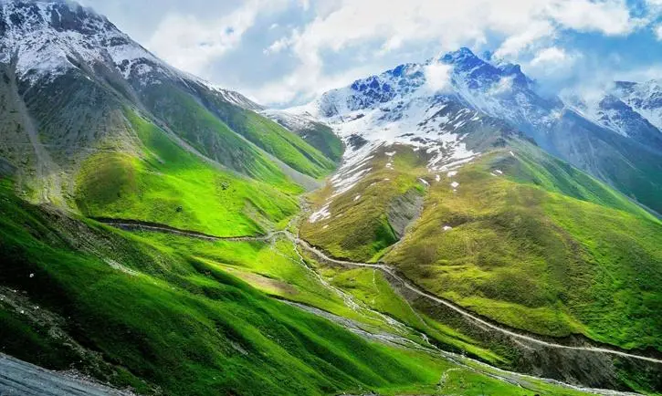 bf46e91ce537f7299c4011e7cc157716-sz_83264