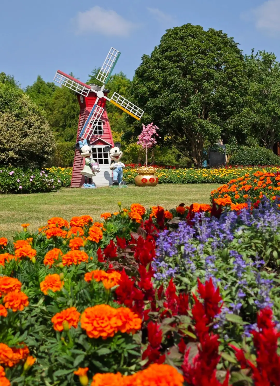 c186186528a3f6b303f645004ba9db4d-sz_747572