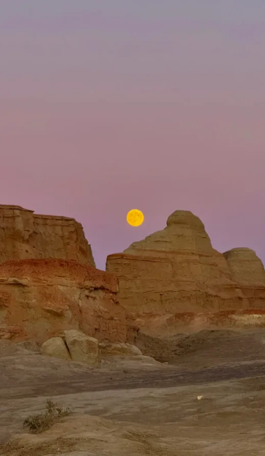 c20d14d899cda0df427f57b350248e71-sz_477351-1