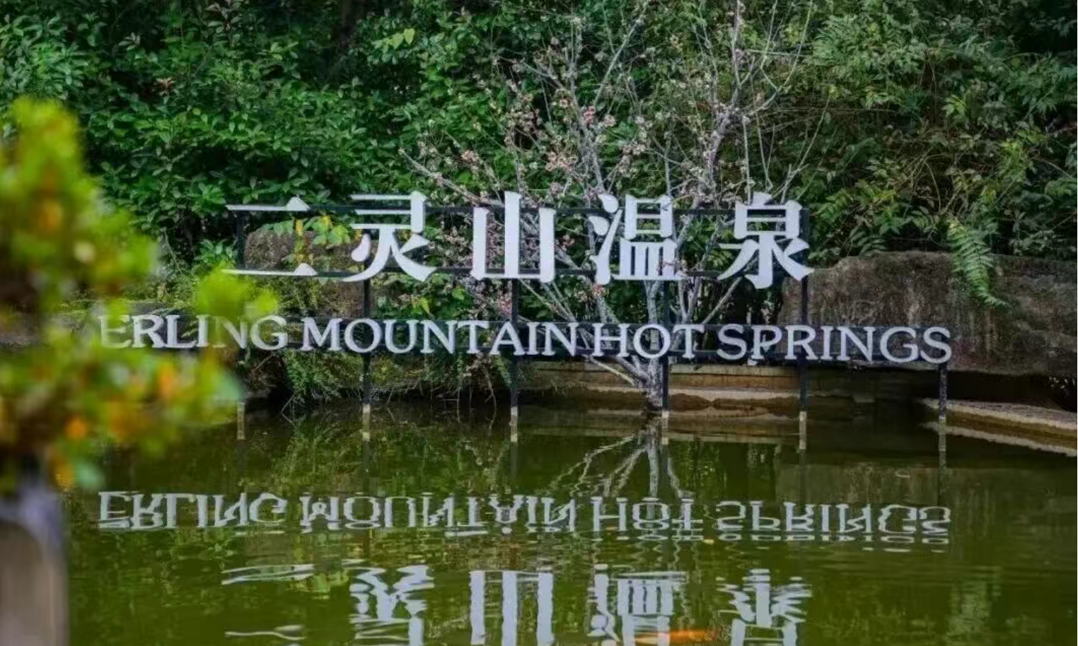 c2116e8831021bb9bf2670da13be1ff2