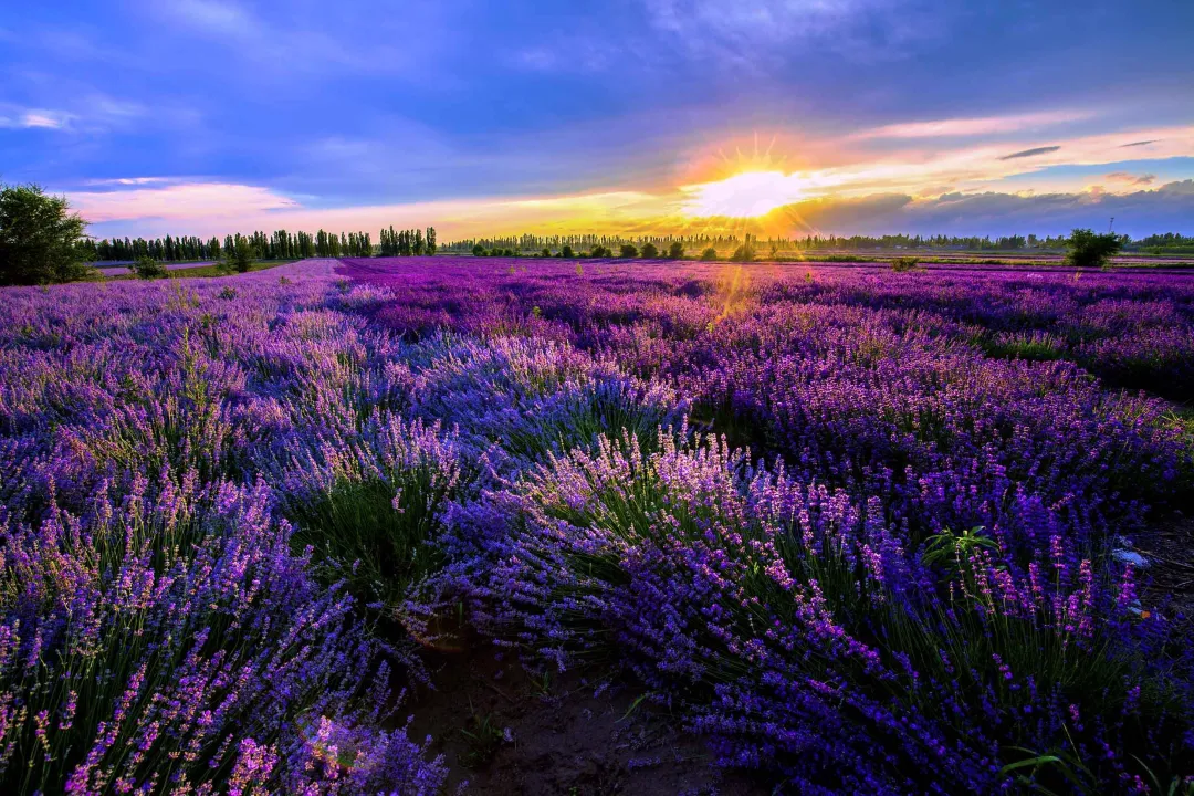 c22e6d94496abec3a5d747e0dd109f13-sz_9074458