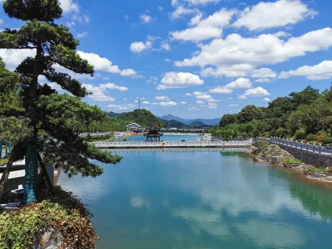 c259c21aef736282d4c544208513c1da-sz_199020