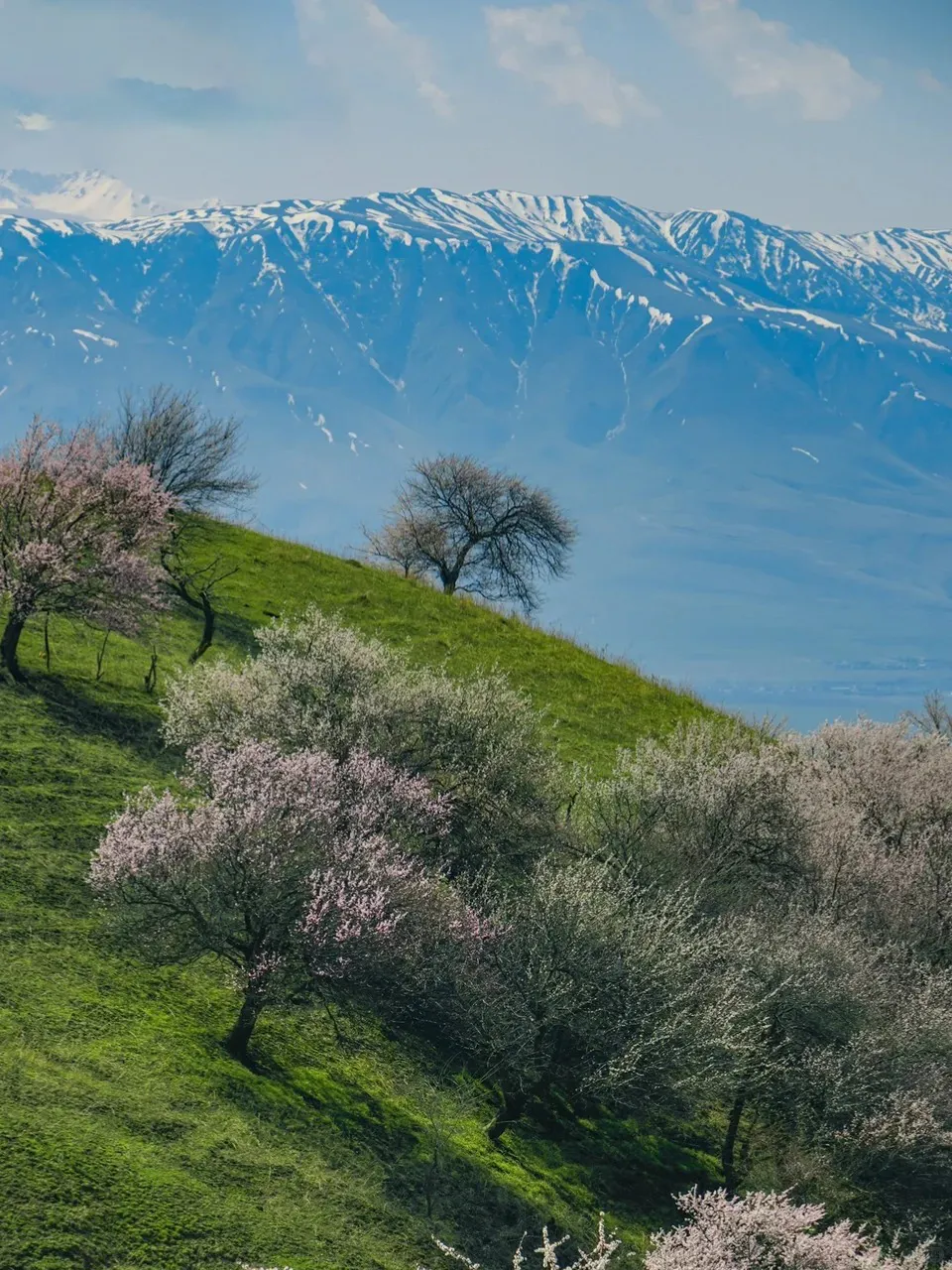 c2aabf2a0e5fcd7d33c97aeb5a6f3178-sz_768747