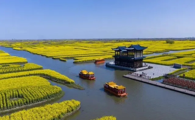 c3765bbb345ad9fe82e6ec6d0d602922-sz_470198-1