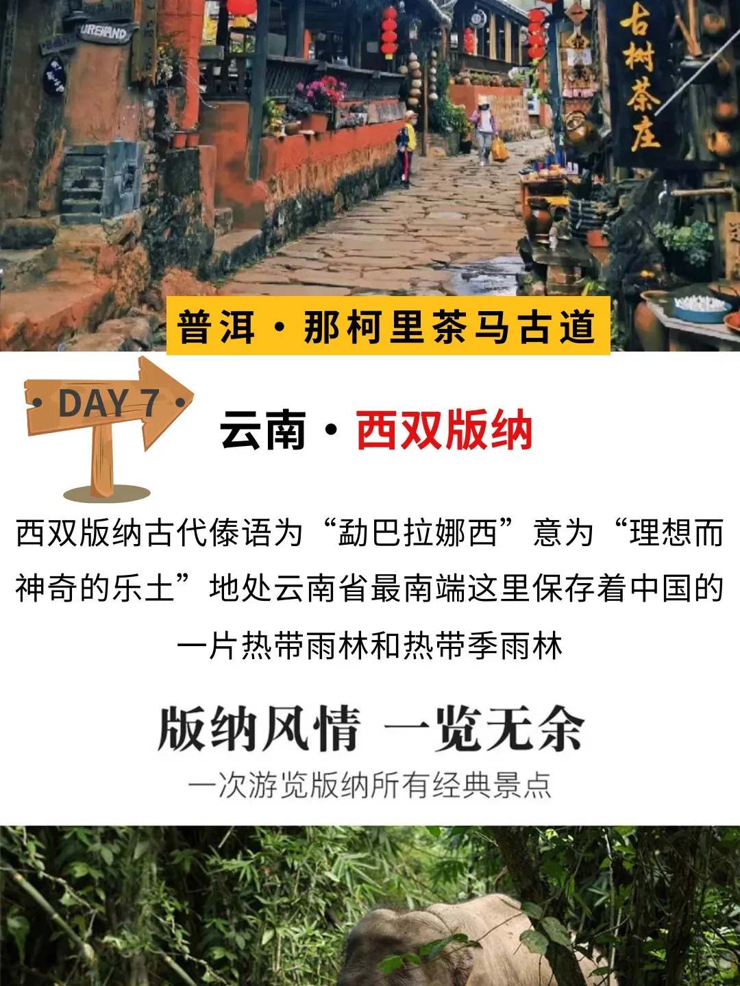 c6e533ba8e31731cc9be7674f2bfd0df-sz_343576