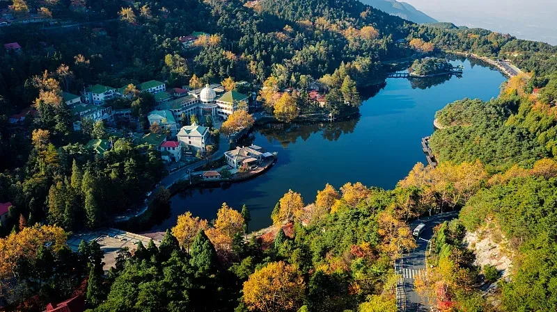 c6f927759d9f580d384080a09039df30-sz_385683