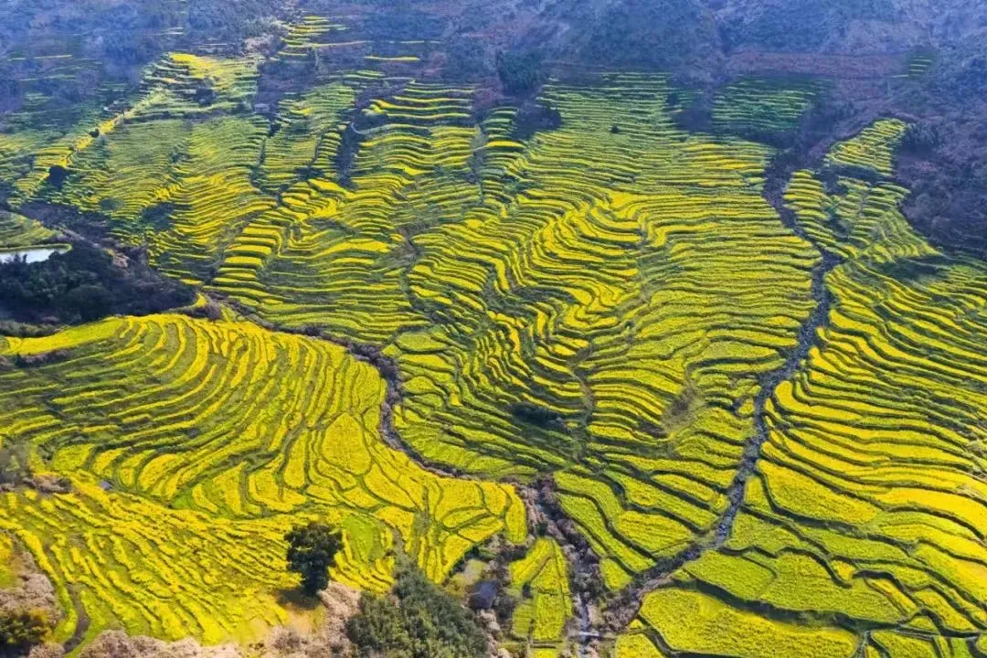 c74229f708fe2639a45b3a3f192f3e07-sz_224411