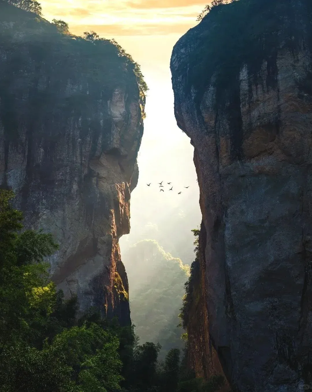 c74a8faf48d3e60e2226b88cd047e49e-sz_2054072