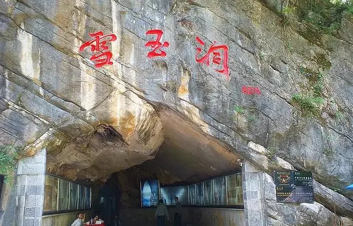 c775ff657030004a496b48443e5702db-sz_106814