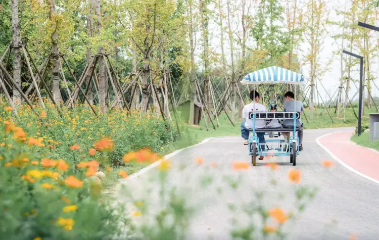 caa07c6bac22ca868f3beb4de235b309-sz_758549