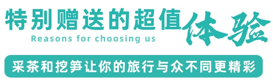 ce1abc460fe658567c5bc4fb8dcc225d-sz_62388